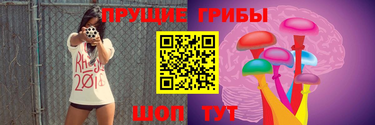 Псилоцибиновые грибы мицелий  Вход с VPN  Галлюциногенные грибы Psilocybe  Хасавюрт 
